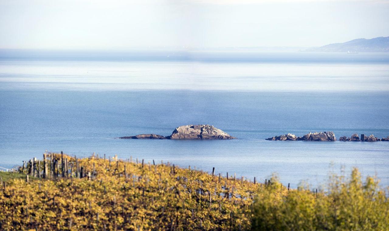 Aterian Mandabide Lägenhet Zarautz Exteriör bild